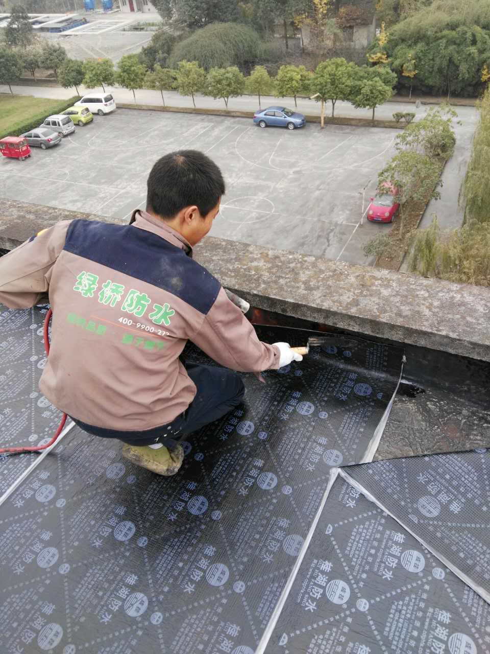 1501667597532862.jpg 579981769278556181.jpg