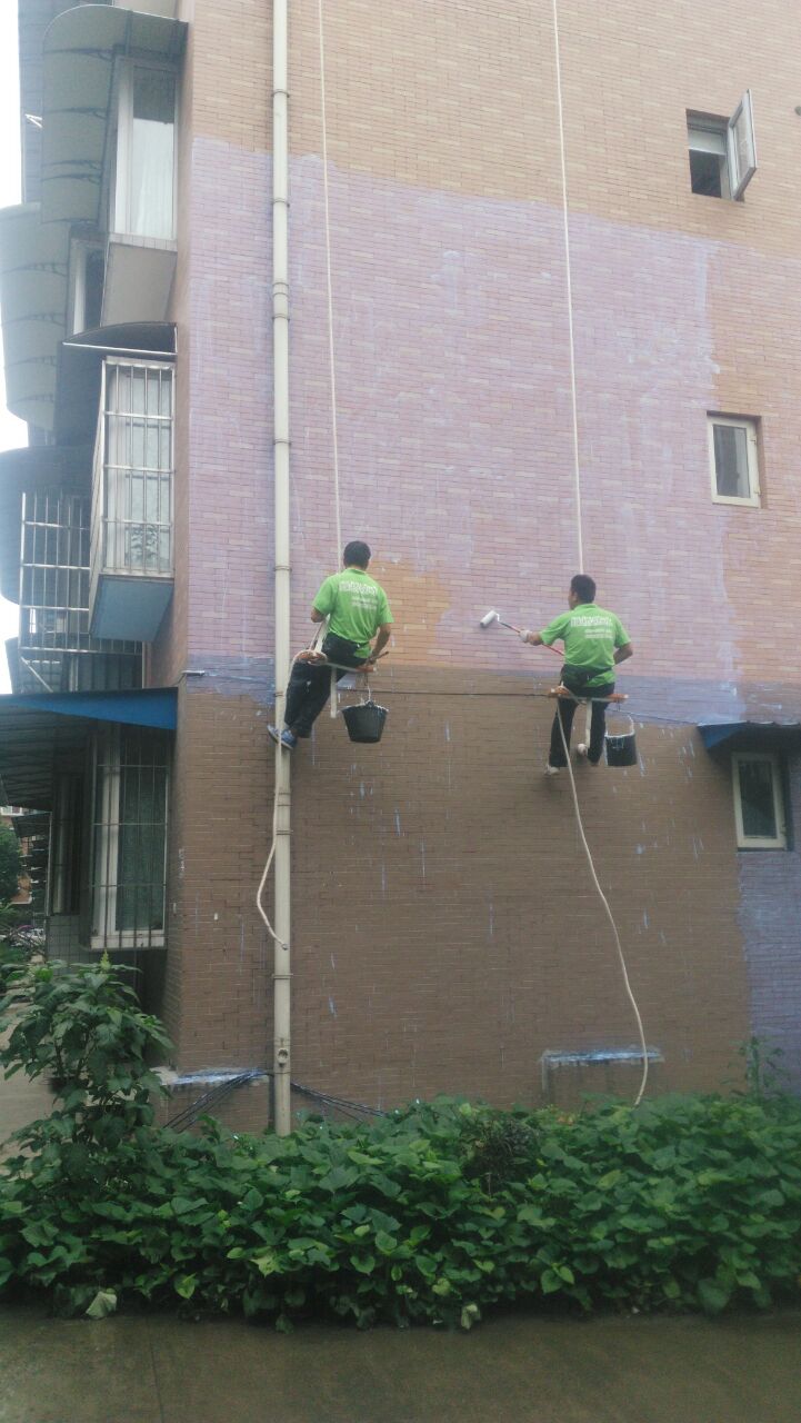 1501730900651888.jpg 峨眉山1.jpg